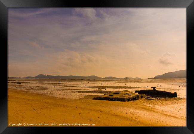 Ran Aground Framed Print by Annette Johnson