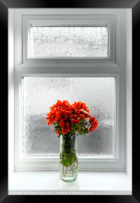 Vibrant Chrysanthemums on Display Framed Print by Jeremy Sage