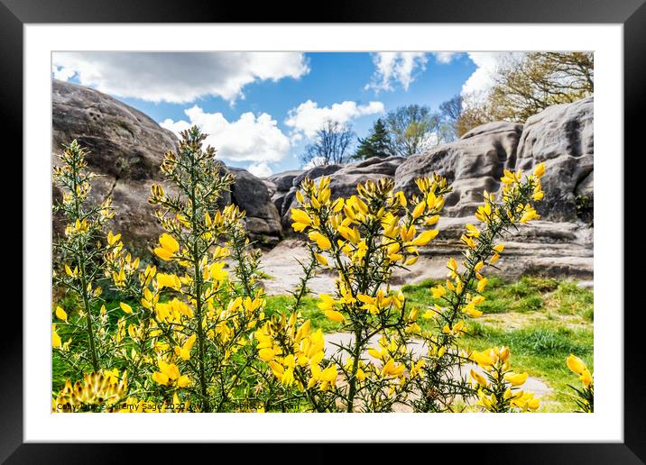 Yellow & Blue Framed Mounted Print by Jeremy Sage