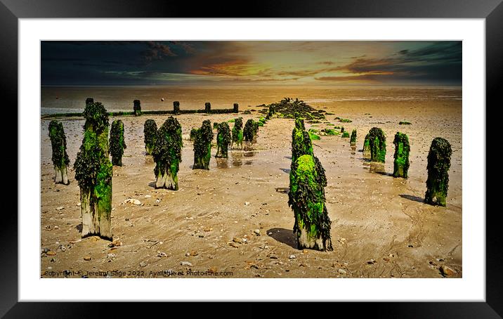 Seaweed-Clad Groynes Framed Mounted Print by Jeremy Sage