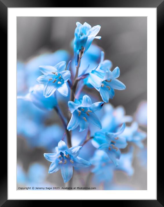Intimate Encounter with a Blooming Beauty Framed Mounted Print by Jeremy Sage