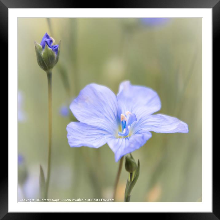 Blue Beauty of Rural Kent Framed Mounted Print by Jeremy Sage