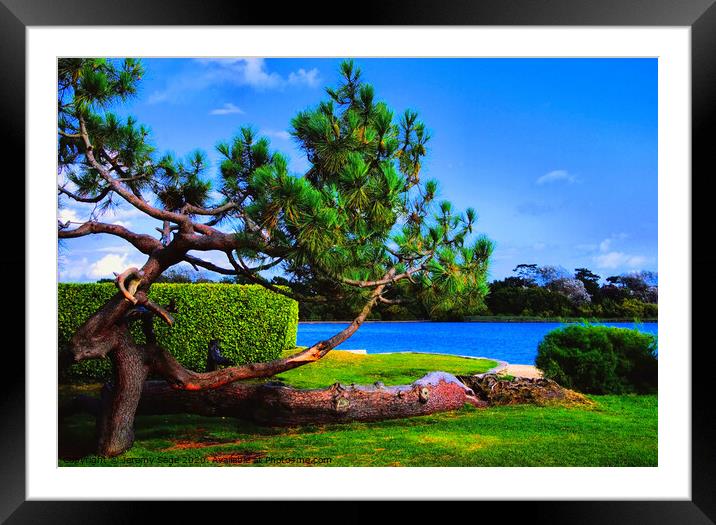 Enchanting Poole: A Blue Lagoon Paradise Framed Mounted Print by Jeremy Sage