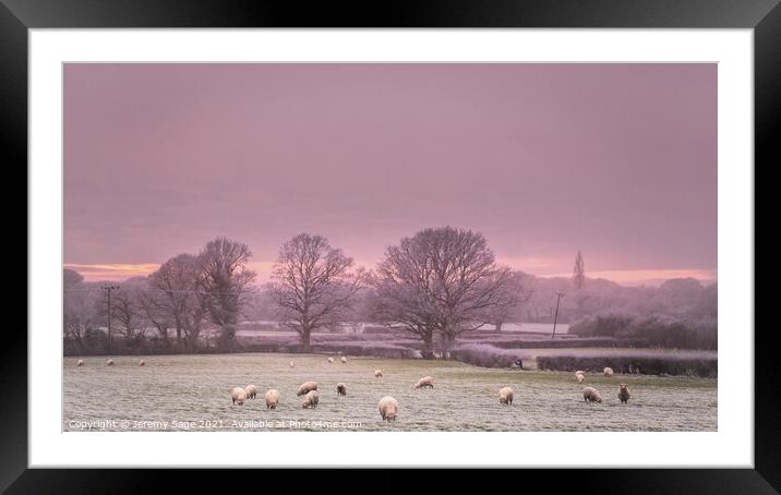 Cold and frosty with sheep Framed Mounted Print by Jeremy Sage