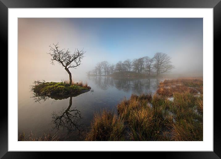 Sunrise through the mist on Rydal WaterPlant tree Framed Mounted Print by Martin Lawrence