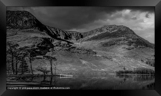 Buttermere pines Framed Print by phil pace