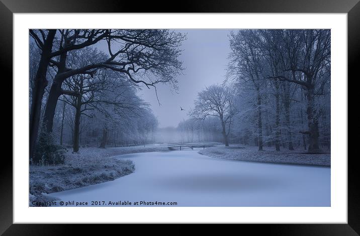Frozen Framed Mounted Print by phil pace