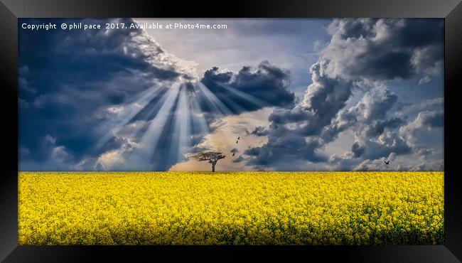 Patterns in the clouds Framed Print by phil pace