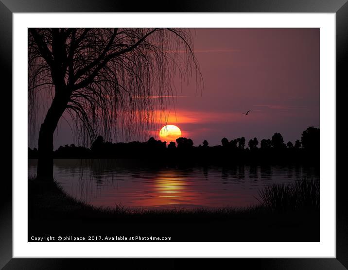The Willow Tree Framed Mounted Print by phil pace
