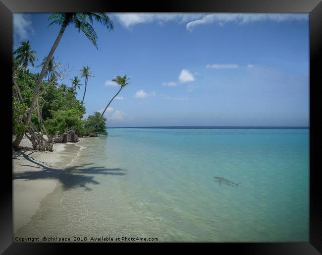 Paradise on Kuredu island Framed Print by phil pace