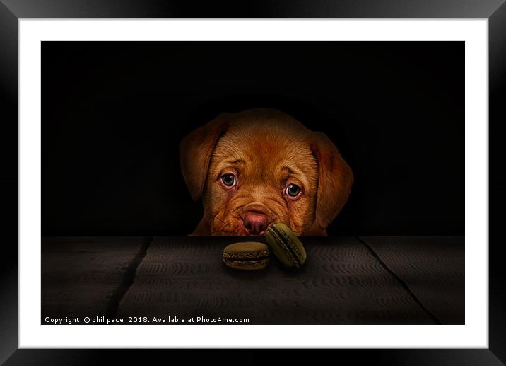 Dont Take The Biscuits Framed Mounted Print by phil pace