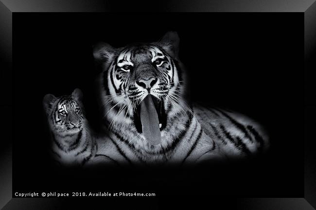 The Two of Us Framed Print by phil pace