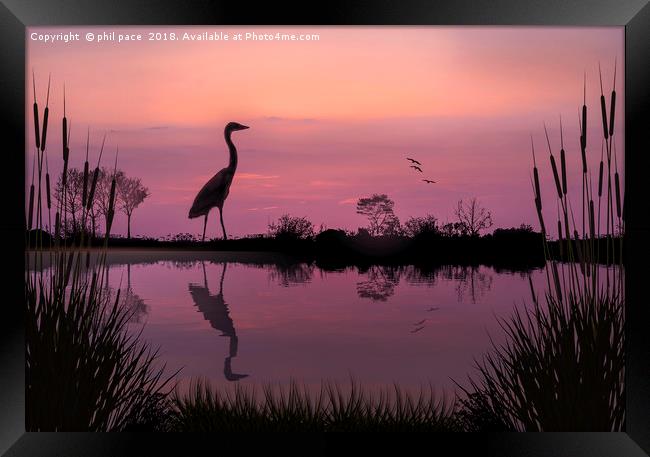 The Master Fisherman Framed Print by phil pace