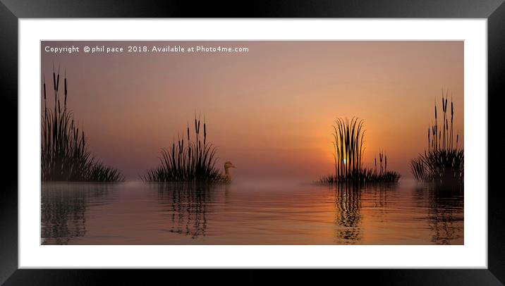 Through The Reeds Framed Mounted Print by phil pace