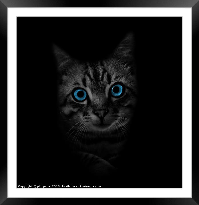 Blue Eyes Framed Mounted Print by phil pace