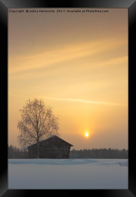 Birch Tree And A Barn In The Sunrise Framed Print by Jukka Heinovirta