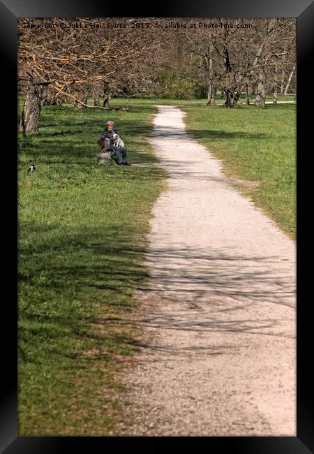 Long Path In The Park Framed Print by Jukka Heinovirta