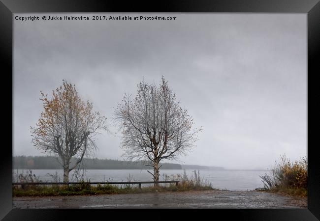 Two Birch Trees By The Lake Framed Print by Jukka Heinovirta