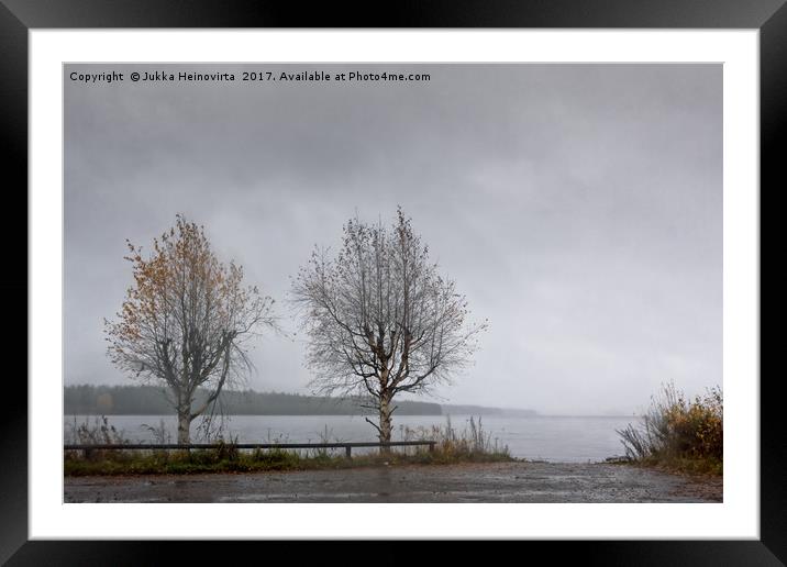Two Birch Trees By The Lake Framed Mounted Print by Jukka Heinovirta