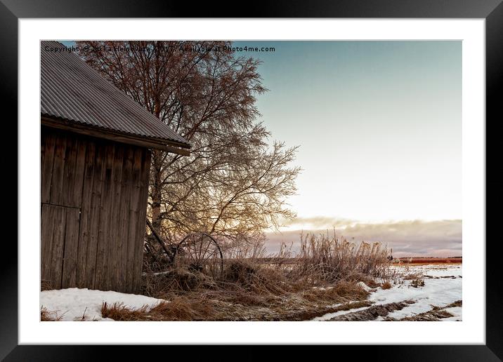 Winter Sun Sets Behind an Old Barn House Framed Mounted Print by Jukka Heinovirta