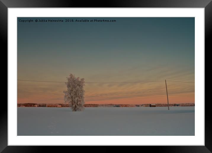 Lonely Tree Covered With Snow Framed Mounted Print by Jukka Heinovirta