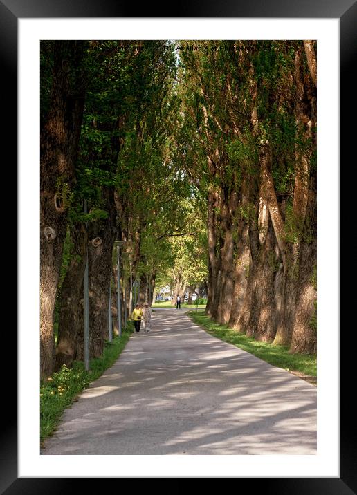 Old Ladies Walking In The Park Framed Mounted Print by Jukka Heinovirta