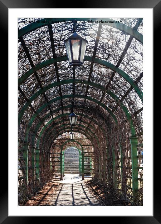 Old Pergola In The Park Framed Mounted Print by Jukka Heinovirta