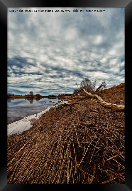 Dead Branch On The River Bend Framed Print by Jukka Heinovirta