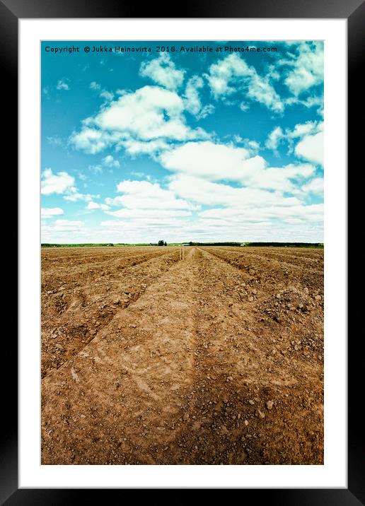 Plowed Furrows Of A Potato Field Framed Mounted Print by Jukka Heinovirta