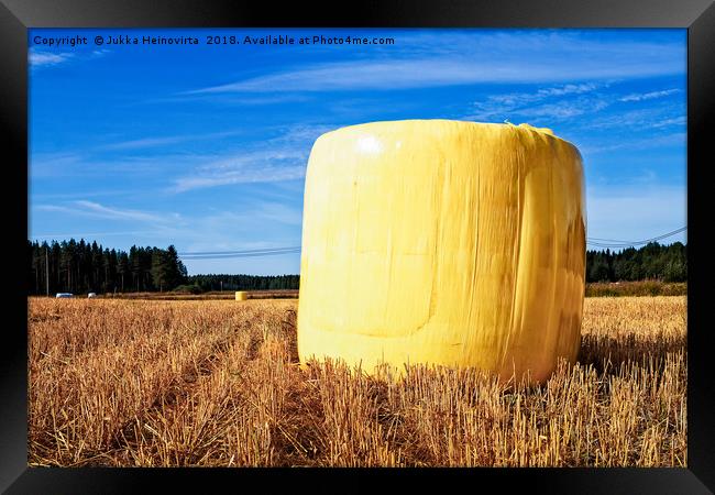 Yellow Hay Bale On The Fields Framed Print by Jukka Heinovirta