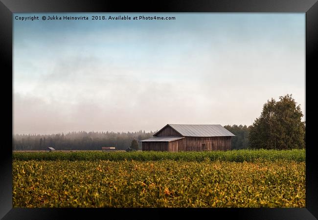 Misty Morning By The Fields Framed Print by Jukka Heinovirta