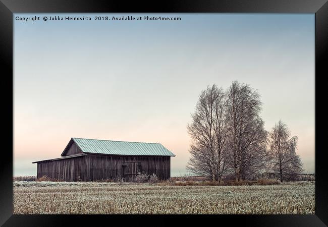 Barn House And Birch Trees On A Frosty Morning Framed Print by Jukka Heinovirta