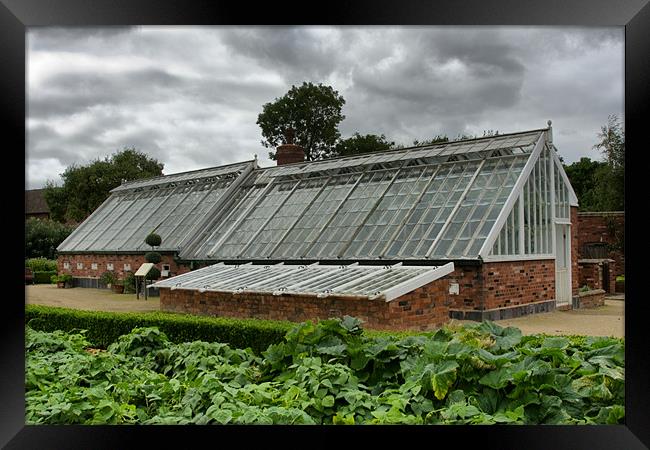 Greenhouse Framed Print by Dave Holt