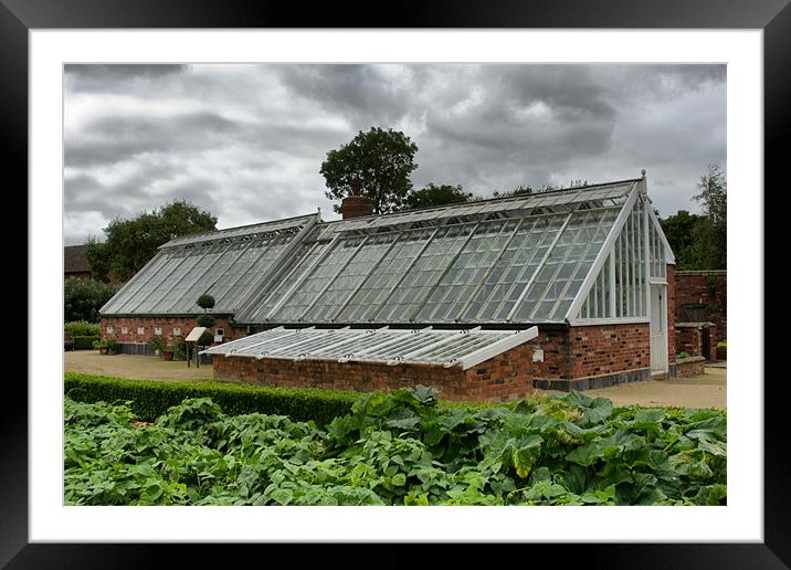 Greenhouse Framed Mounted Print by Dave Holt