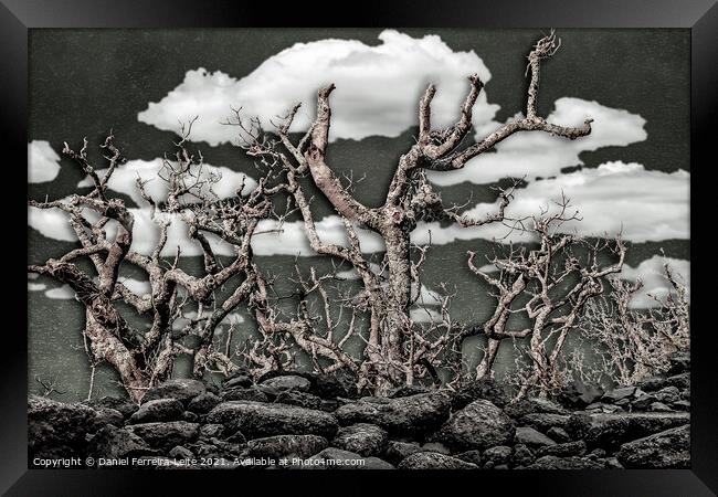Dark Fantasy Landscape Framed Print by Daniel Ferreira-Leite