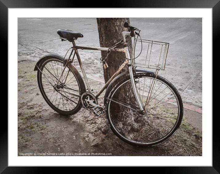 Old Bicycle Chained at Tree Framed Mounted Print by Daniel Ferreira-Leite