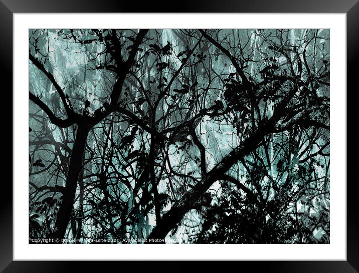 Leafy Dark Nature Background Framed Mounted Print by Daniel Ferreira-Leite