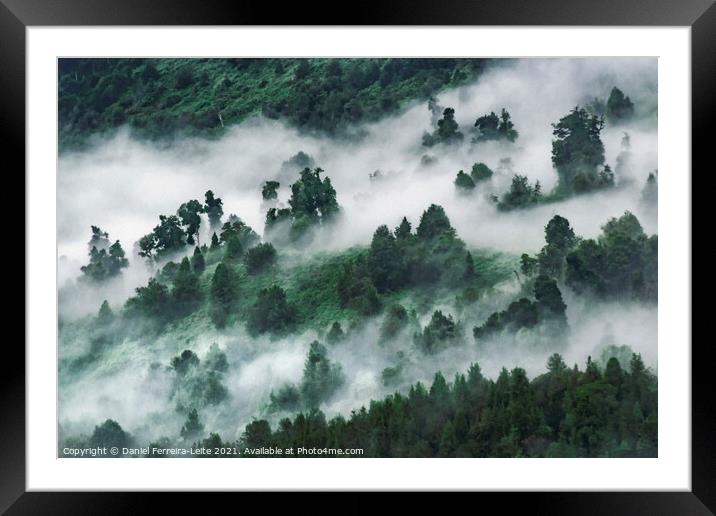Patagonia Landscape, Puyuhuapi, Chile Framed Mounted Print by Daniel Ferreira-Leite