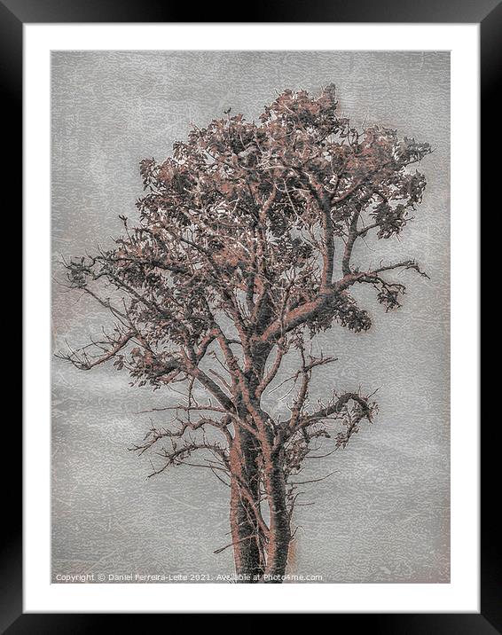 Big Tree Photo Illustration Framed Mounted Print by Daniel Ferreira-Leite