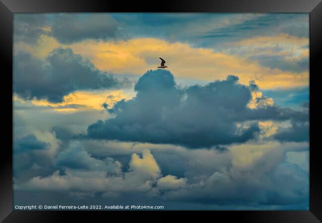 Bird flying over stormy clouds Framed Print by Daniel Ferreira-Leite