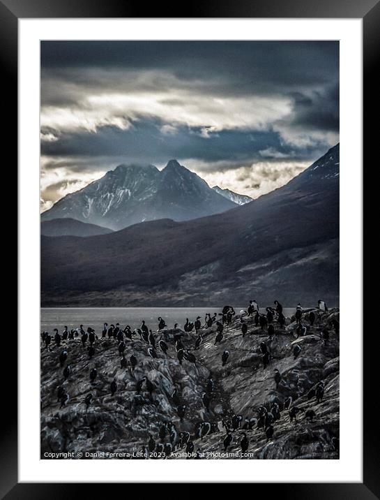 Nature's Symphony: A Portrait of Ushuaia's Wild Beauty  Framed Mounted Print by Daniel Ferreira-Leite