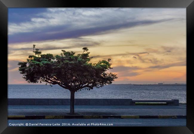 Sunset Scene at Boardwalk in Montevideo Uruguay Framed Print by Daniel Ferreira-Leite