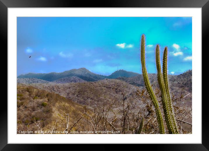 Landscape Scene Machalilla National Park Ecuador Framed Mounted Print by Daniel Ferreira-Leite