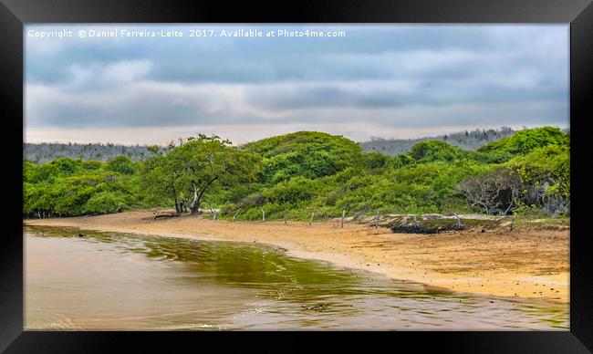 El Garrapatero Beach, Galapagos, Ecuador Framed Print by Daniel Ferreira-Leite