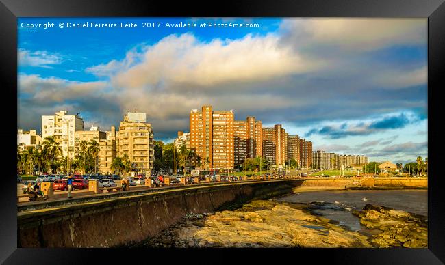 Coastal Urban Scene, Montevideo, Uruguay Framed Print by Daniel Ferreira-Leite