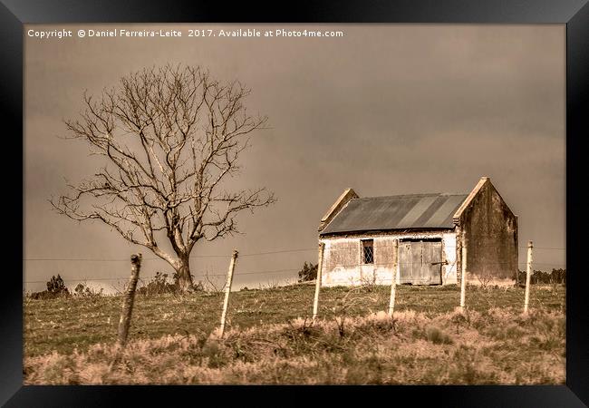 Rural House Landscape Scene, Uruguay Framed Print by Daniel Ferreira-Leite