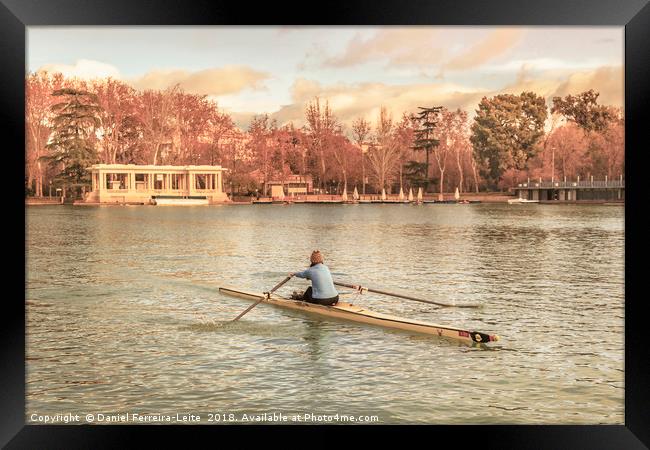 Woman Rowing at Del Retiro Park, Madrid, Spain Framed Print by Daniel Ferreira-Leite