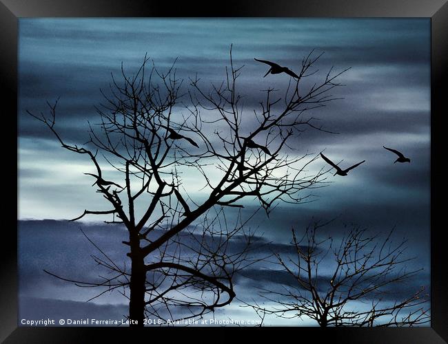 Night Nature Scene Background Framed Print by Daniel Ferreira-Leite