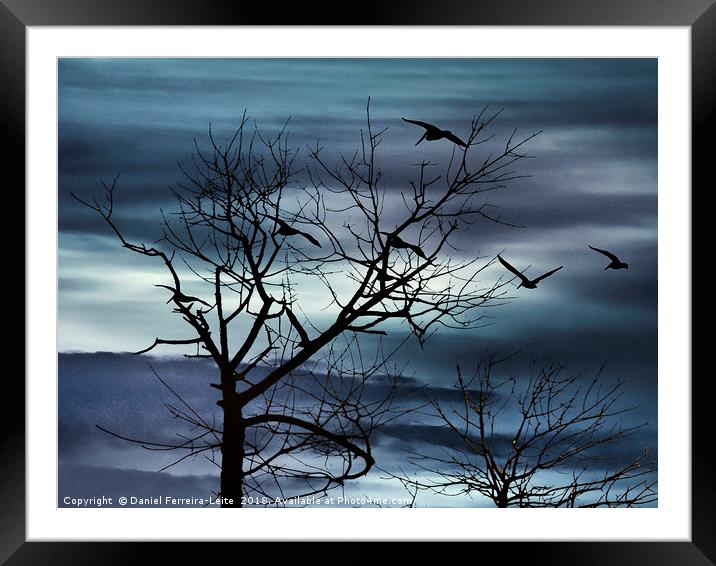 Night Nature Scene Background Framed Mounted Print by Daniel Ferreira-Leite