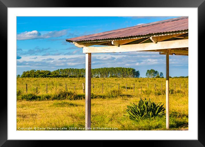 Rural Field Scene, San Jose Department, Uruguay Framed Mounted Print by Daniel Ferreira-Leite